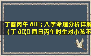 丁酉丙午 🐡 八字命理分析详解（丁 🦆 酉日丙午时生对小孩不利怎么理解）